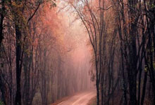 尊龙凯时体育：2025斯诺克最新排名：罗伯逊夺冠反超张安达，丁.