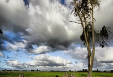 尊龙凯时体育：2025全运会乒乓球资格赛签表出炉 赛制为五场三胜制.