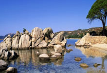 尊龙凯时体育：2025斯诺克最新排名：罗伯逊夺冠反超张安达，丁.